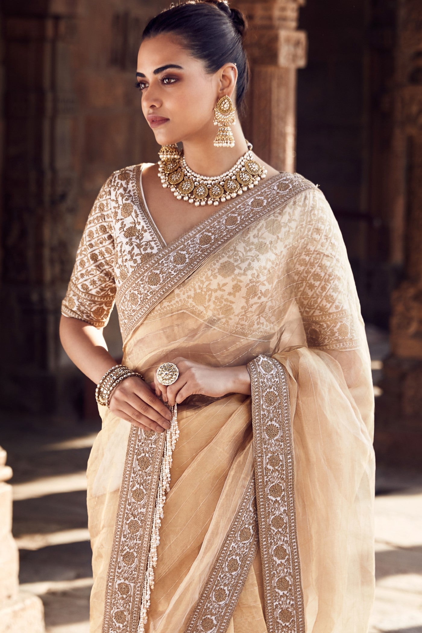 The Sona Kora Gold Tissue Saree