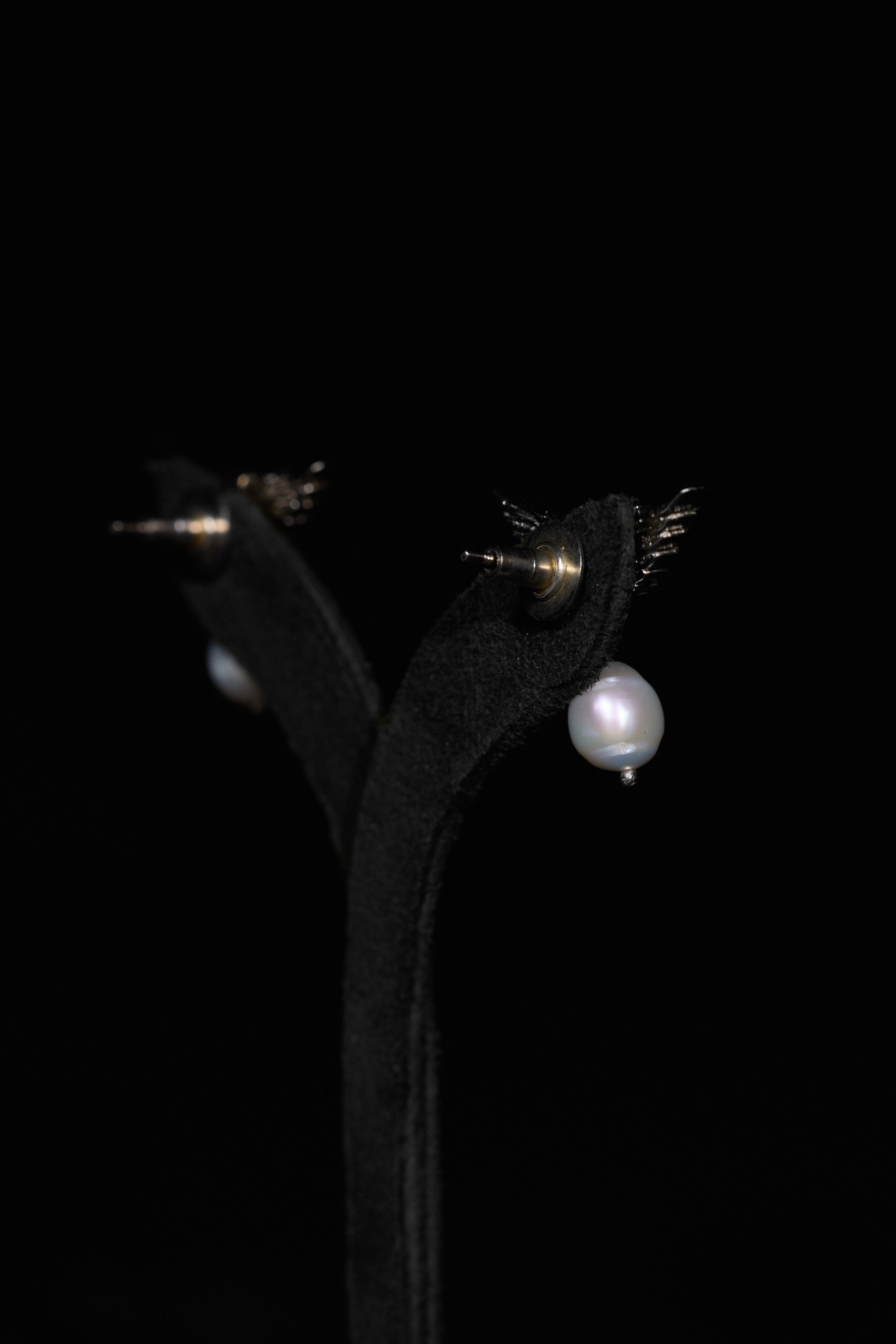 The Classic Matsya Wing Studs in Starlight