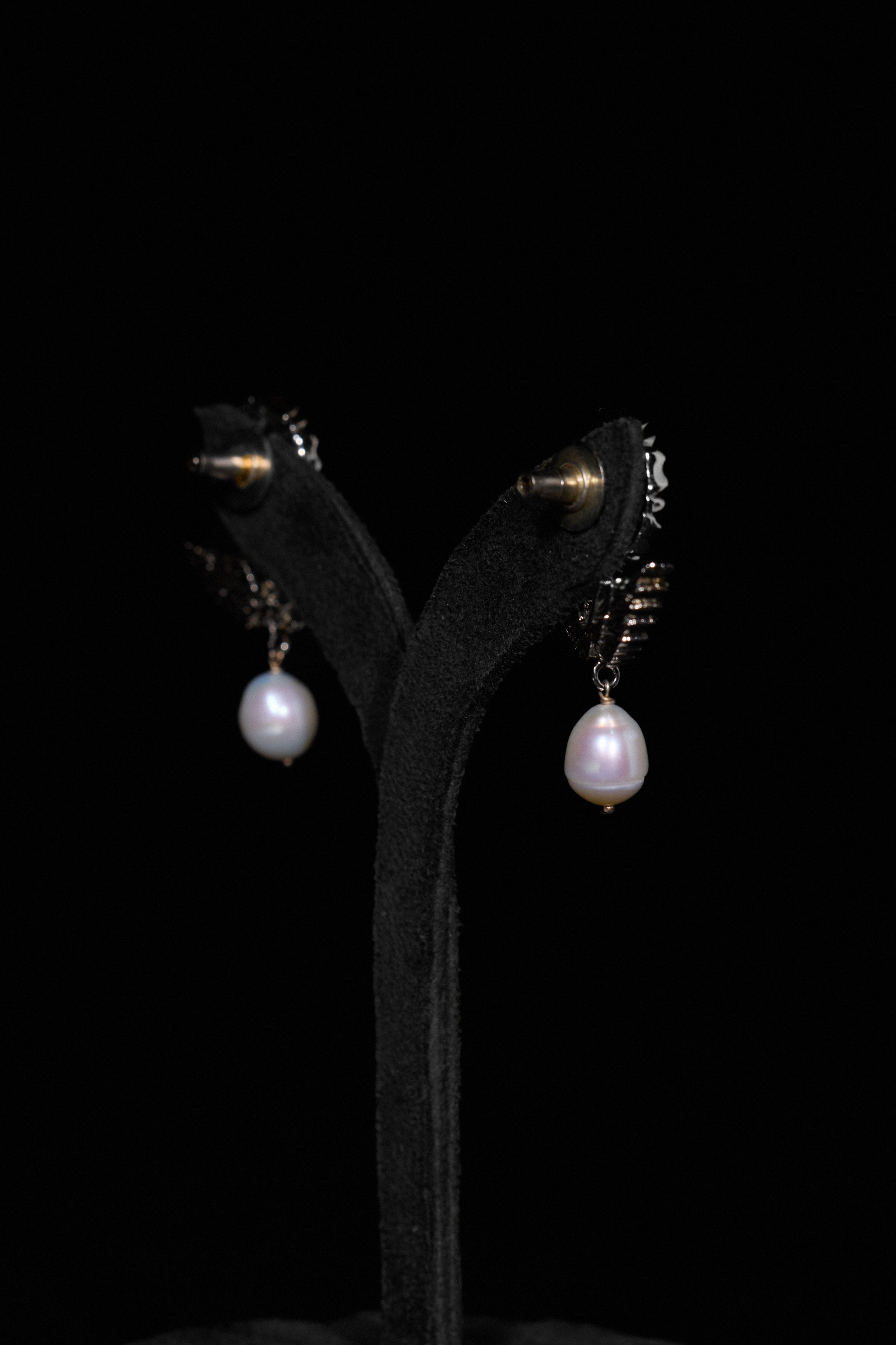 The Flying Tudor Studs in Starlight
