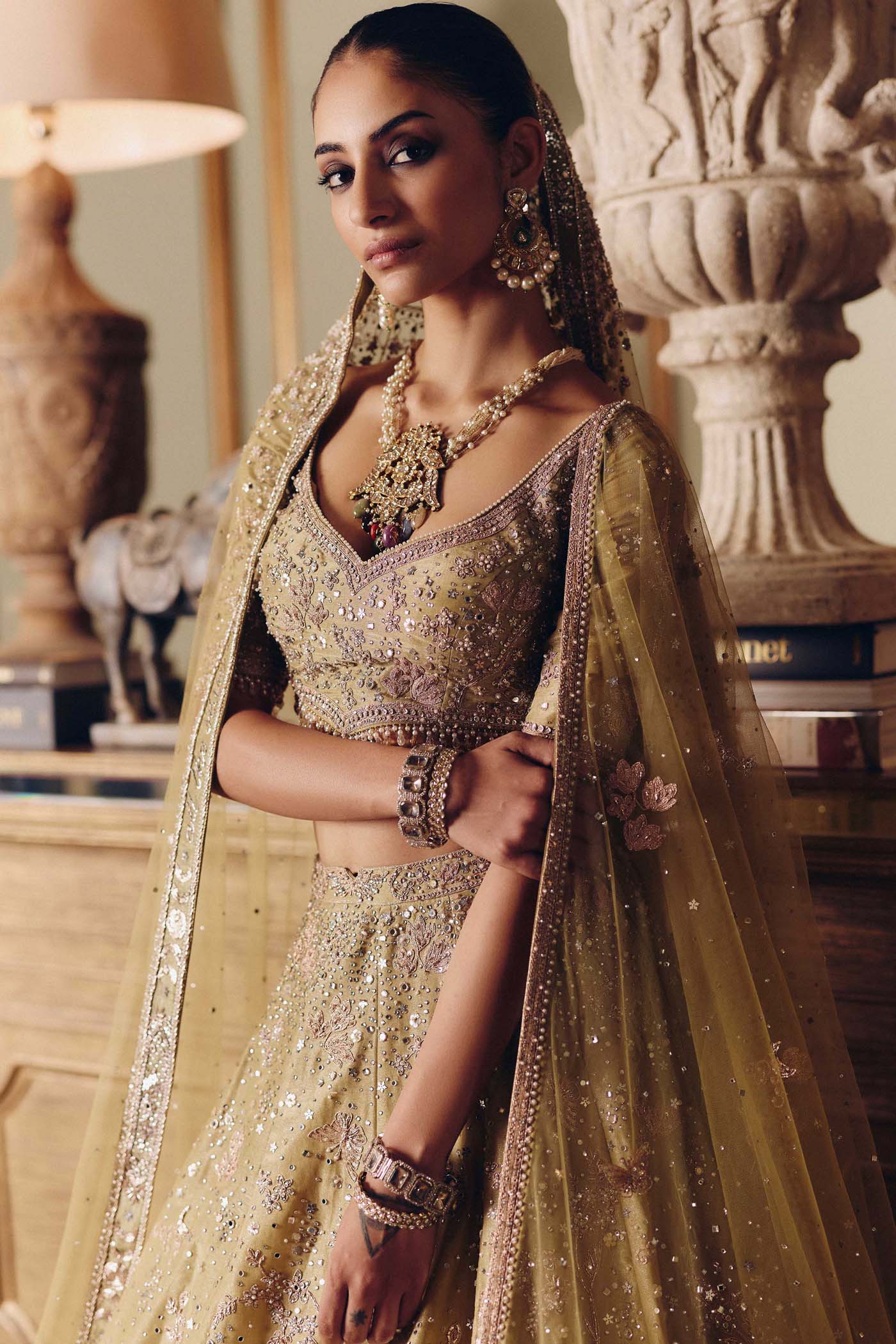 The Royal Masai Landscape Aged Pistachio Tissue lehenga