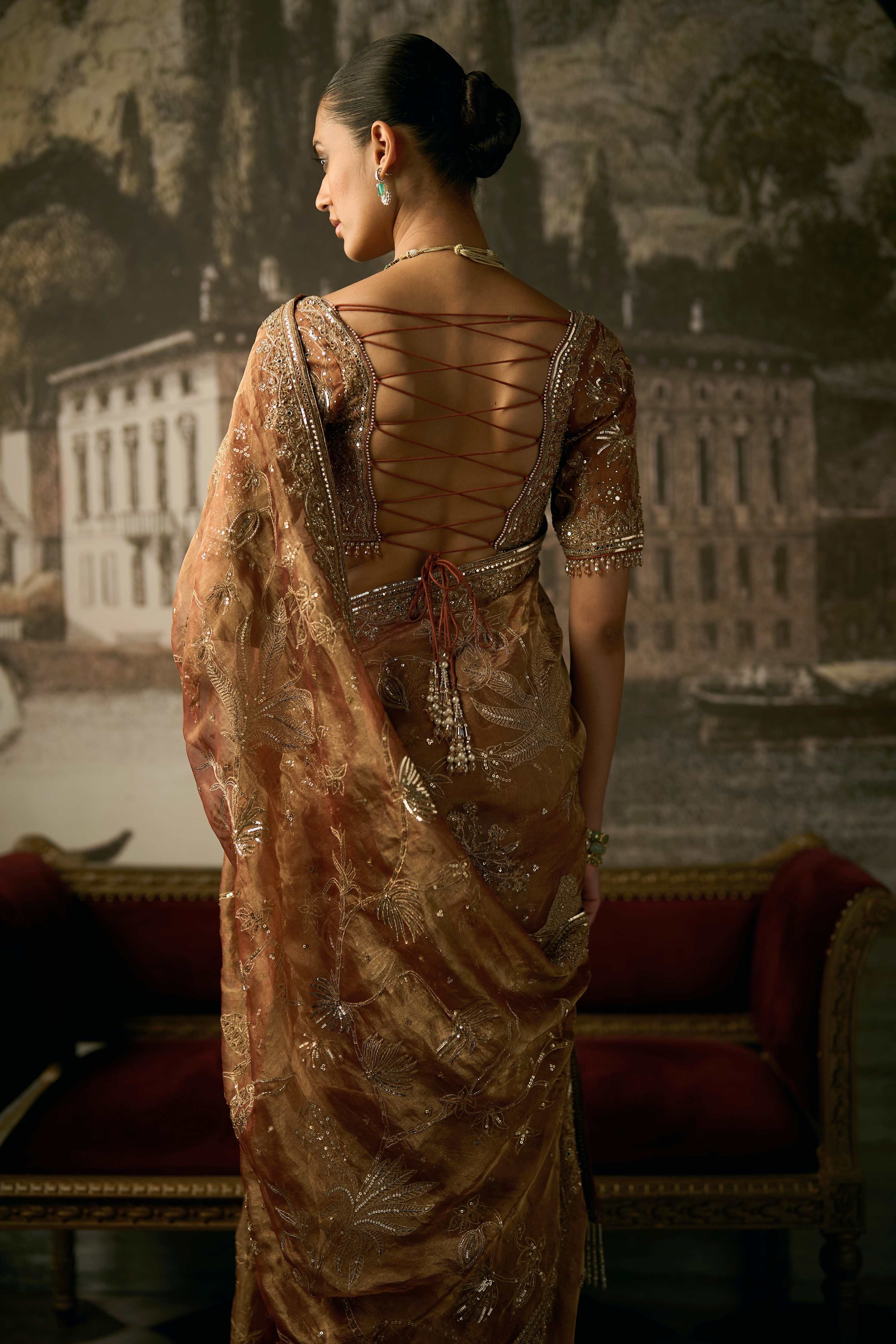 The Royal Savannah Apricot Saree