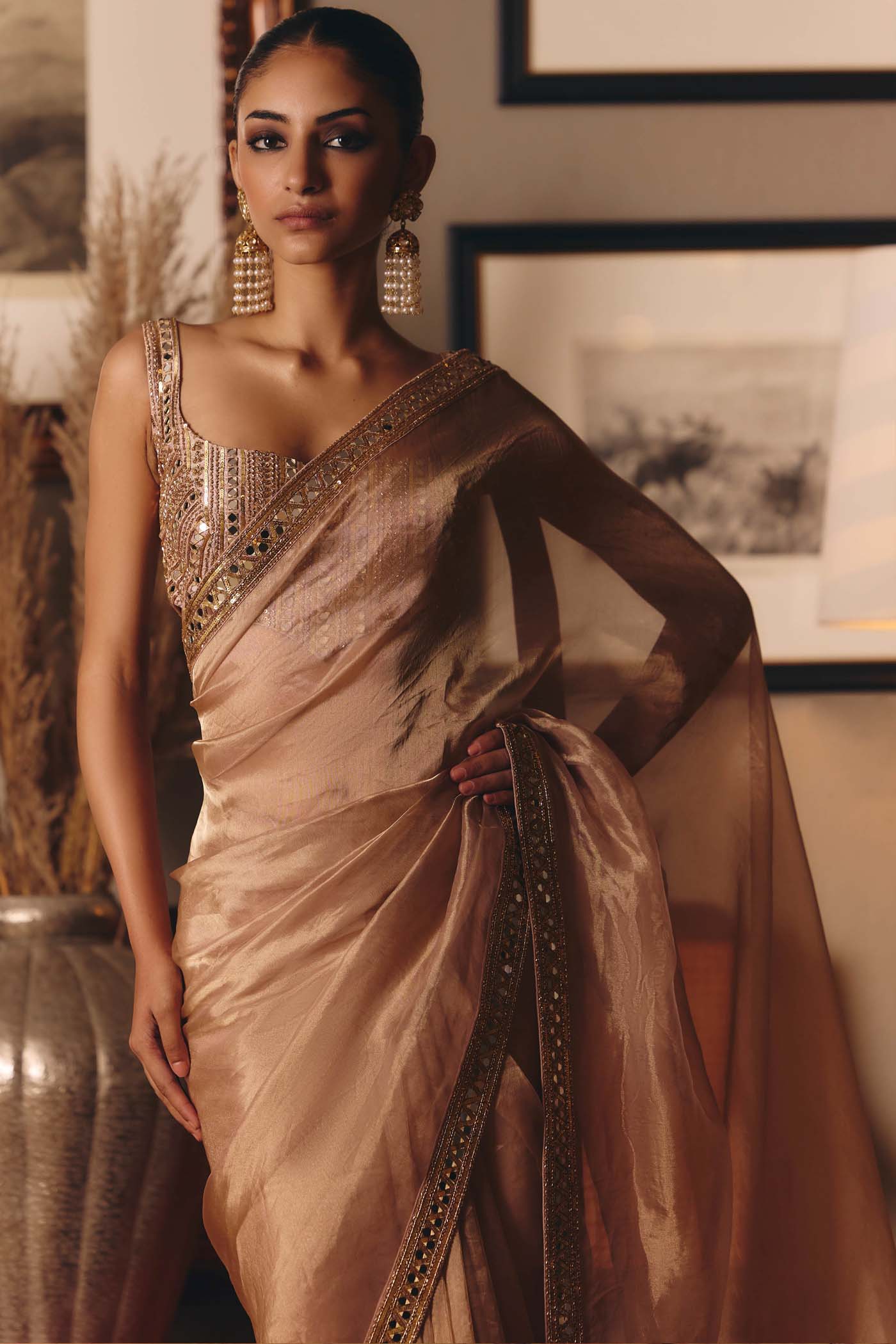 The Aged Peach Sheeshrag Tissue Saree